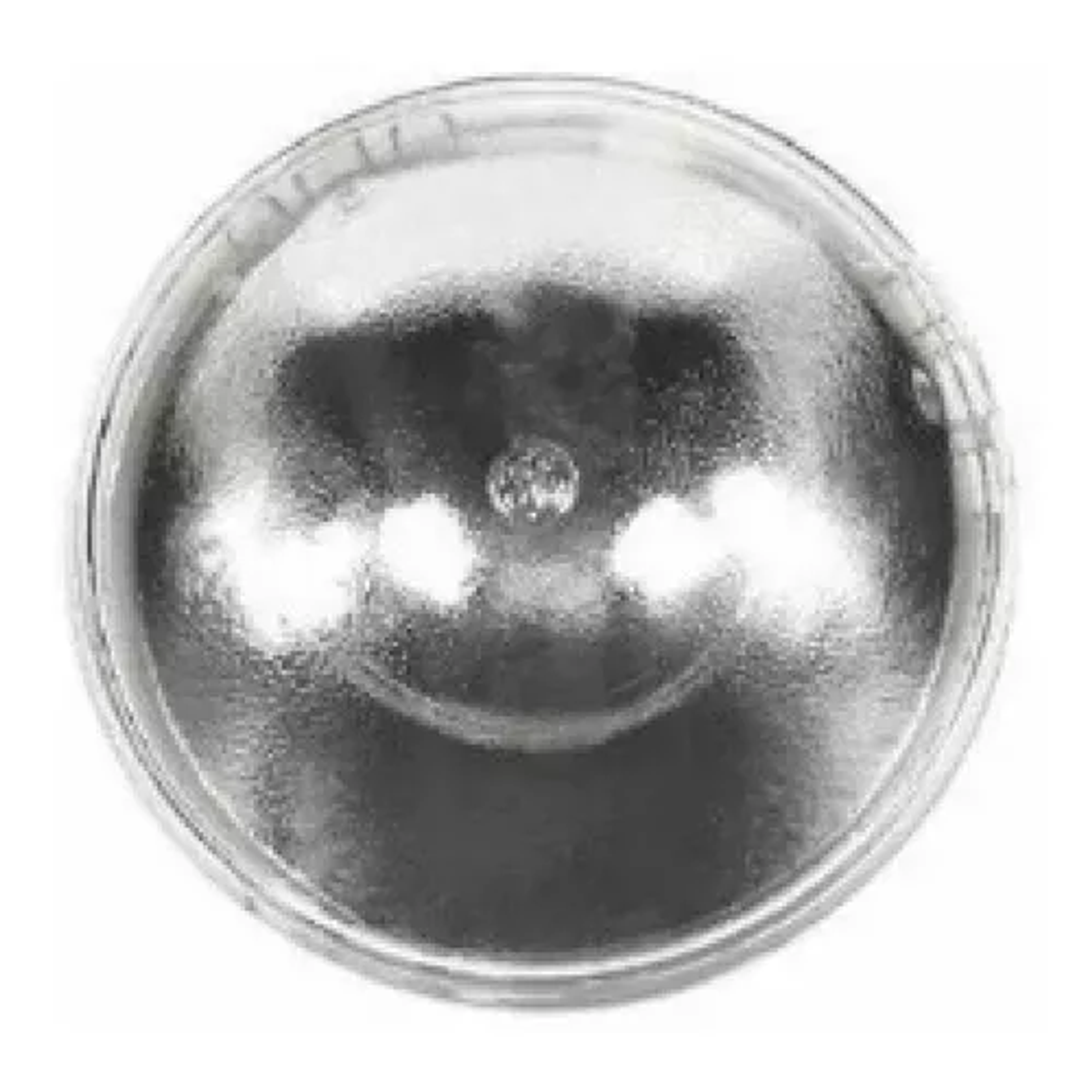 Lampara Par 64 120v 1000w Nsp Ampro 3