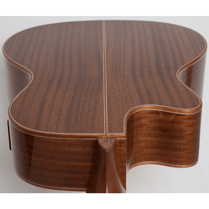 GUITARRA ACUSTICA WASHBURN WCG15SCE 12 CUERDAS 3