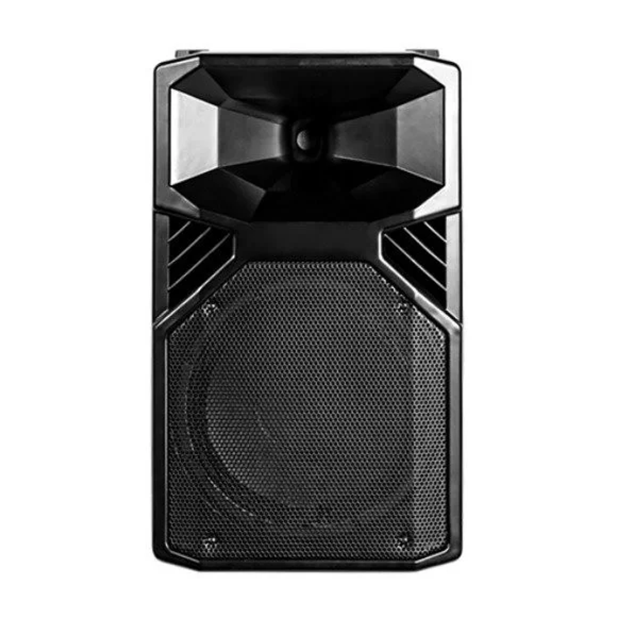 Audiolab TA-10A Parlante Activo de 10 1