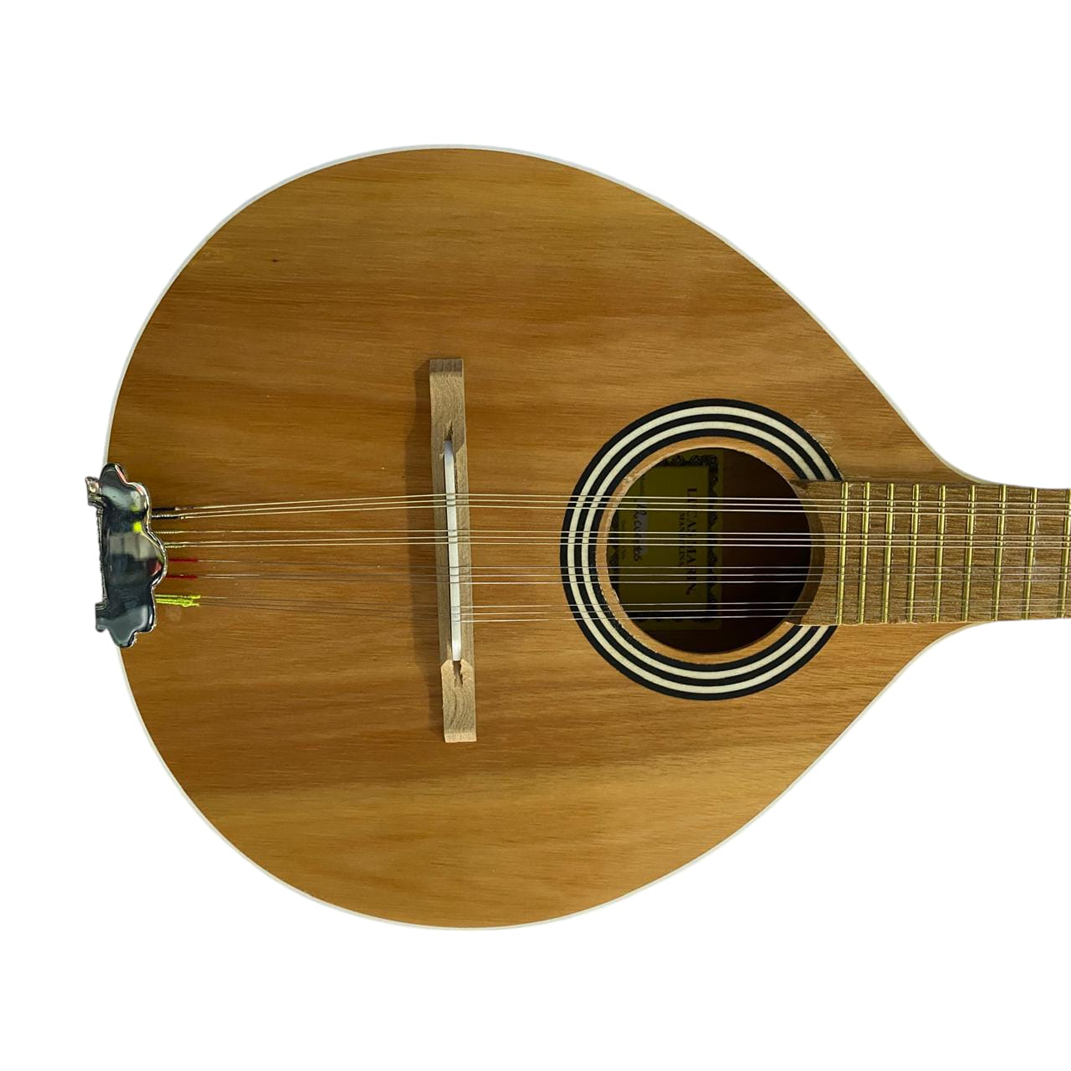 Mandolina de 12 cuerdas Lucas Marin  3