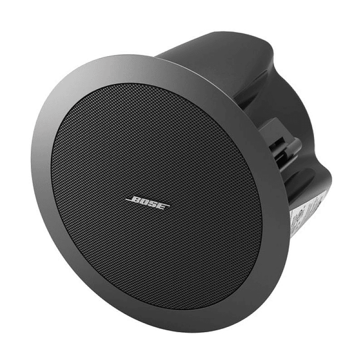 Bose DS 16FW FreeSpace Parlante Cielo 1