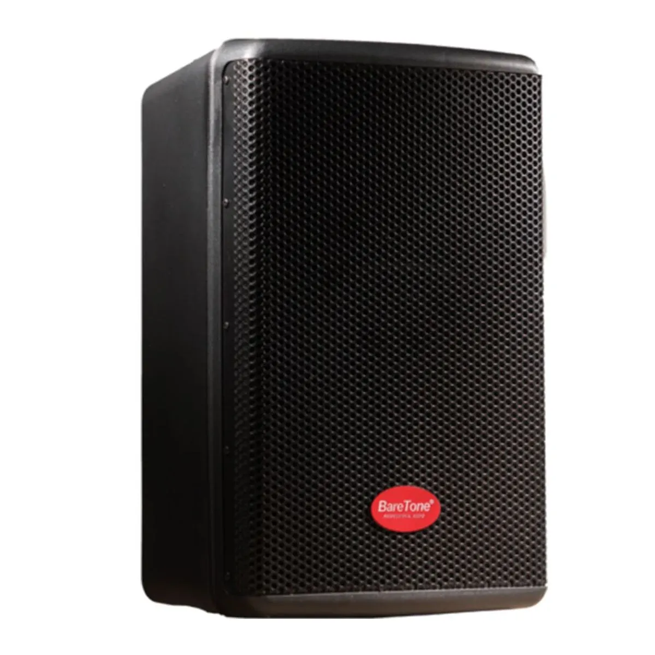 PARLANTE ACTIVO PROFESIONAL 12P 1