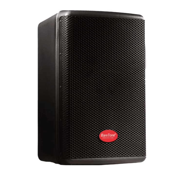 PARLANTE ACTIVO PROFESIONAL 12P 1