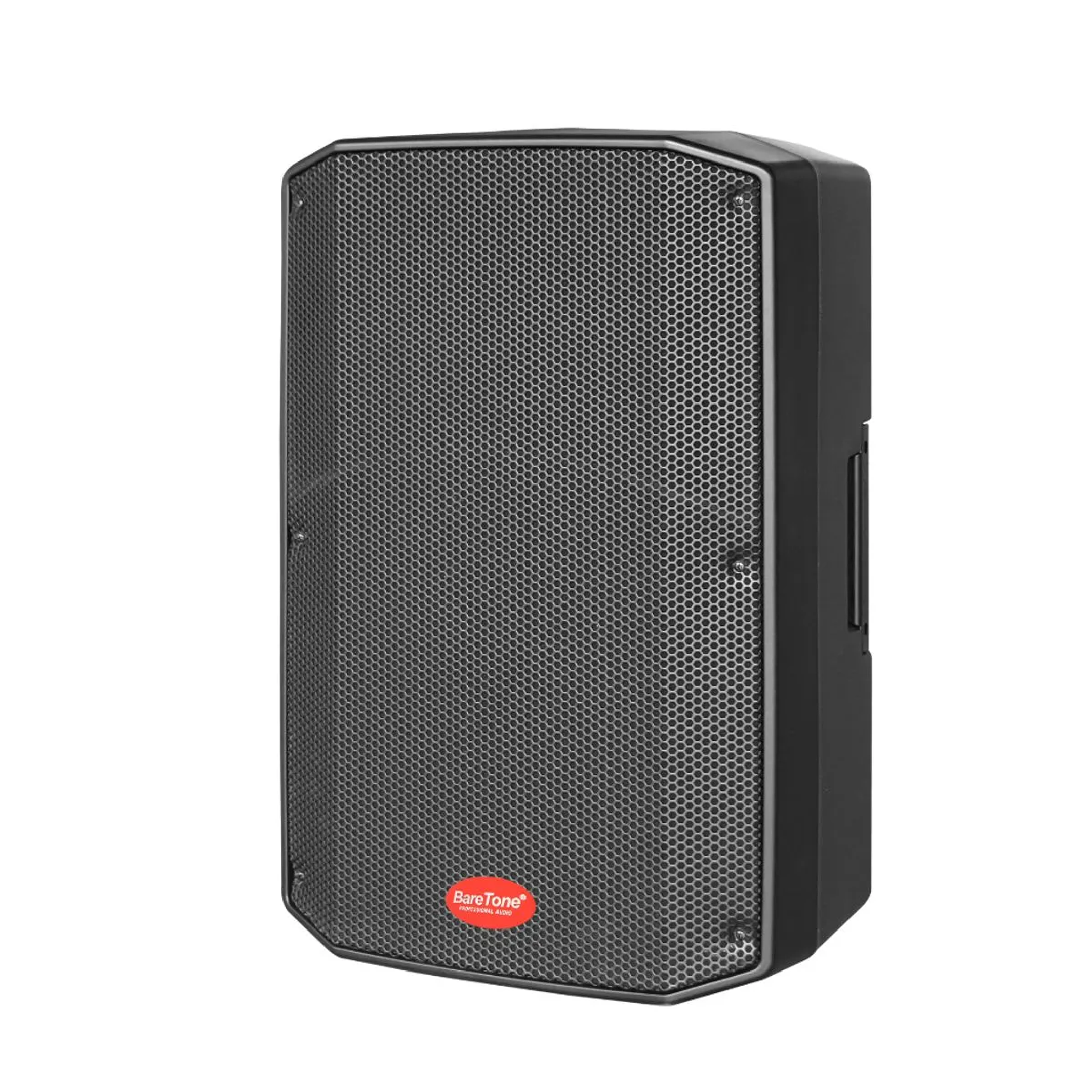 PARLANTE ACTIVO 12 MAX12DX 1