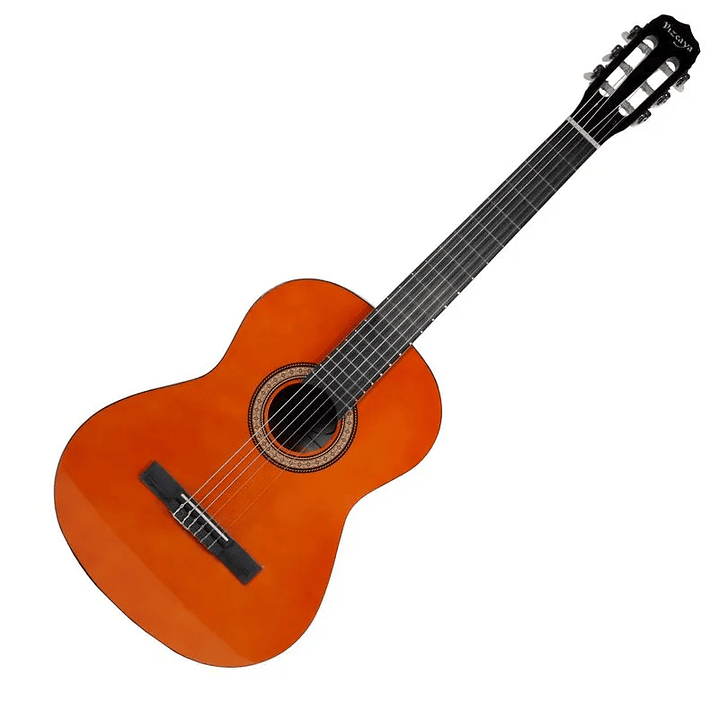 Guitarra acústica Vizcaya 4/4 ARCG44 NT 2