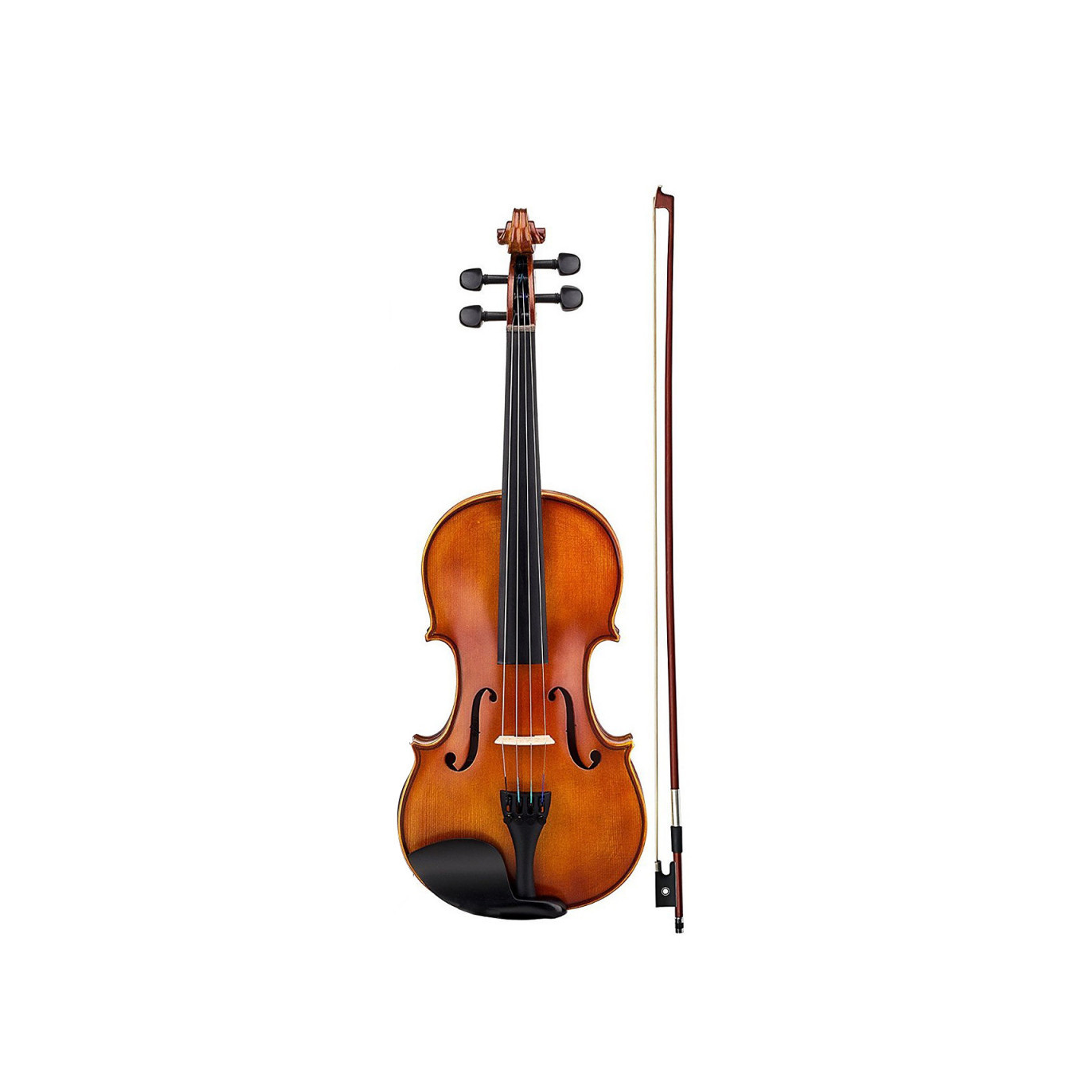 VIOLIN 4/4 CON FUNDA TIPO CASE 1