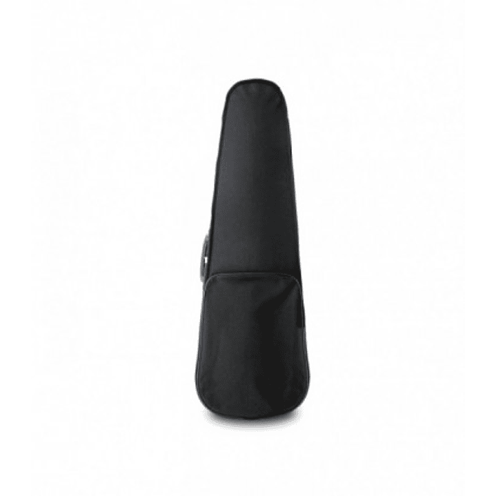 VIOLIN 4/4 CON FUNDA TIPO CASE 2