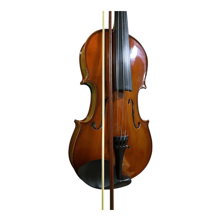 Viola 15” Giulianni  2