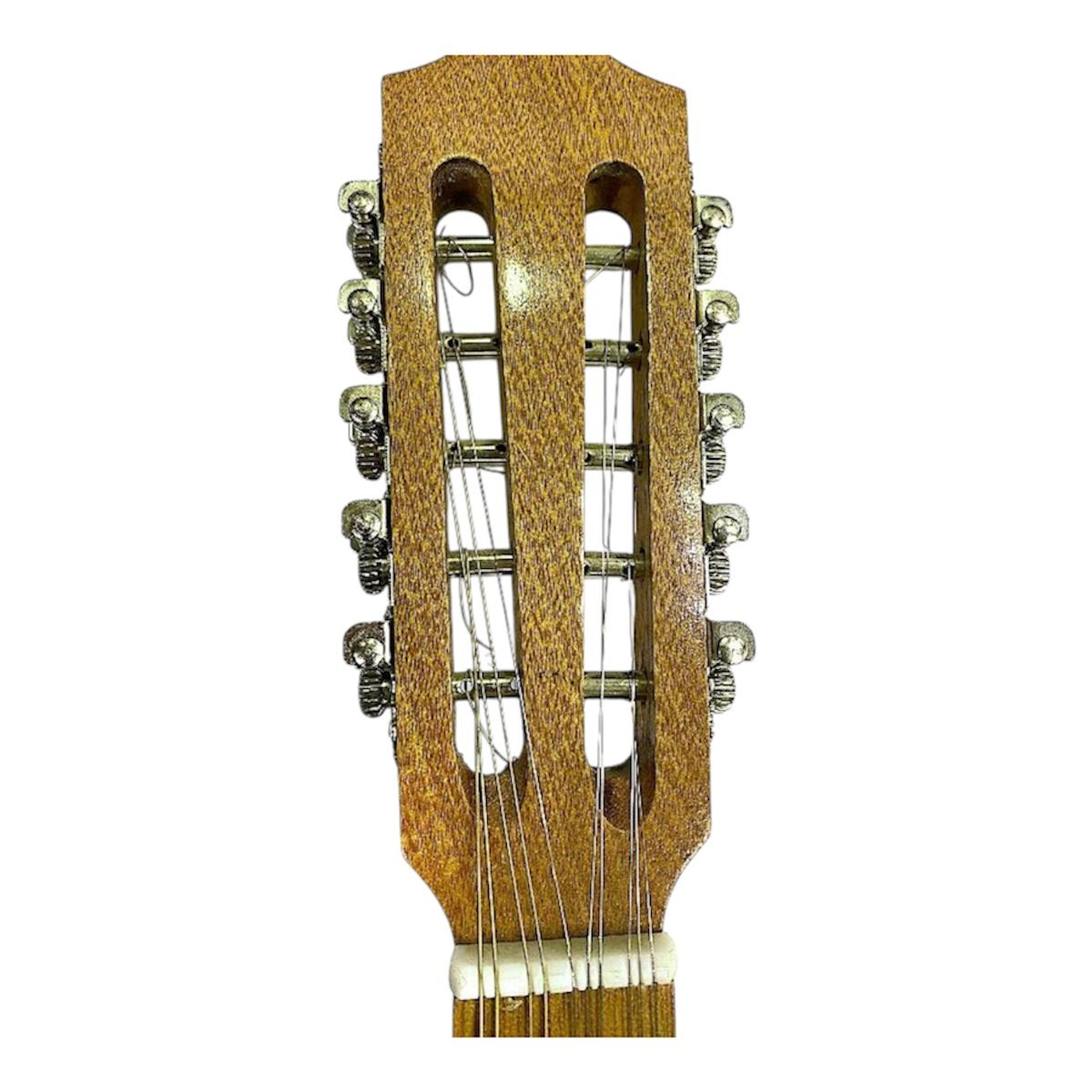 Mandolina de 10 cuerdas Lucas Marin 2