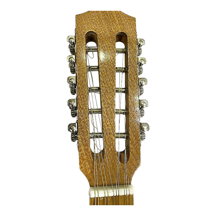 Mandolina de 10 cuerdas Lucas Marin 2