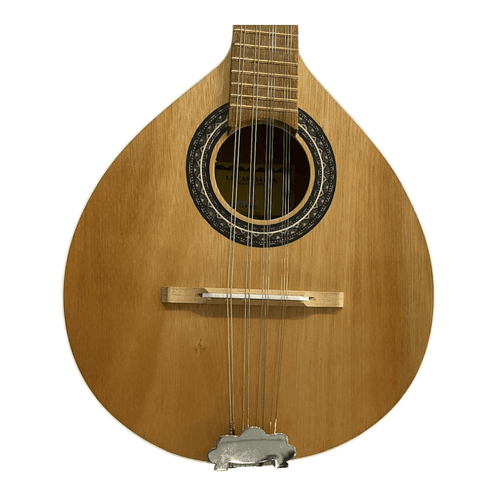 Mandolina de 10 cuerdas Lucas Marin 3