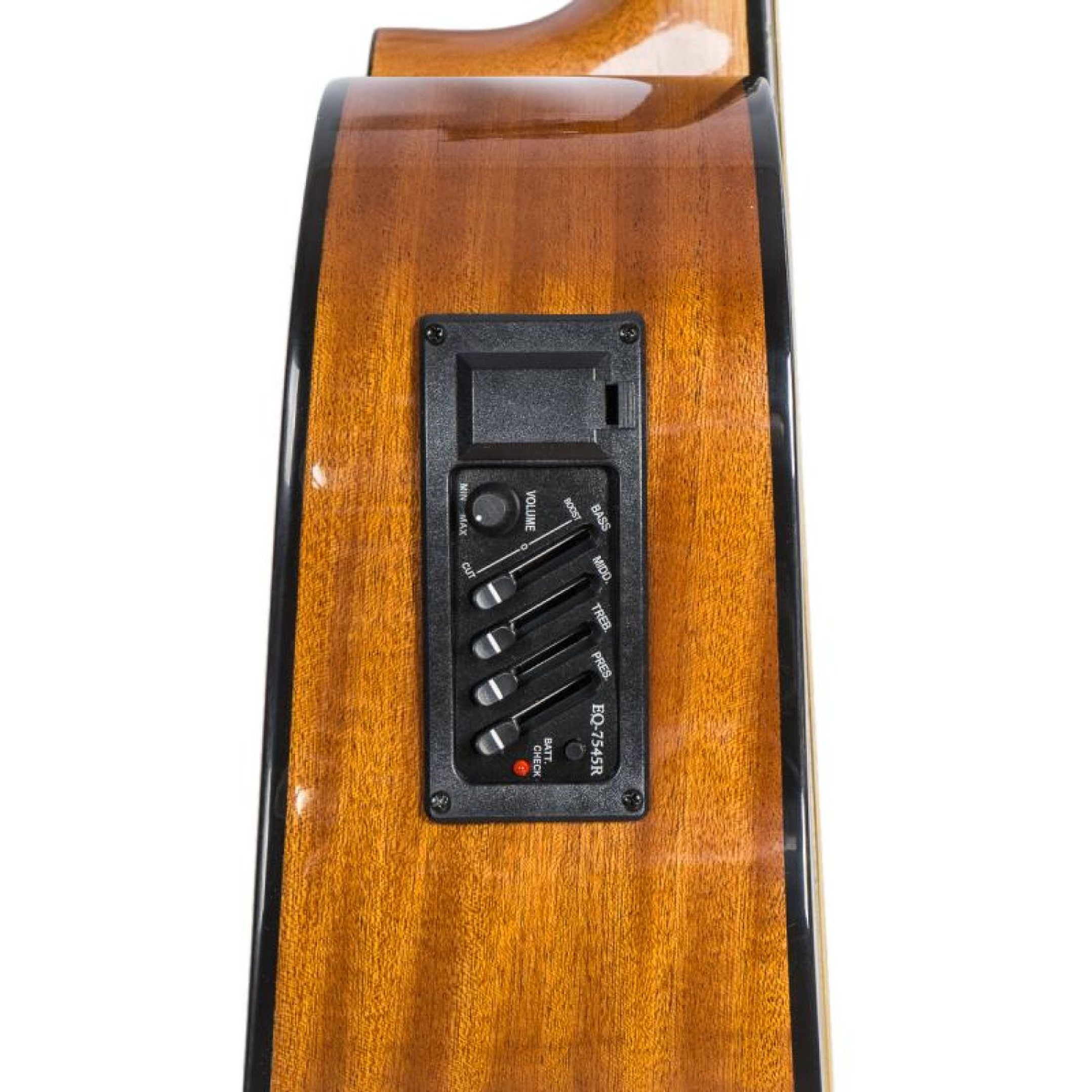 Guitarra 12 Cuerdas SCORPION SCG-12-EQ/N 3