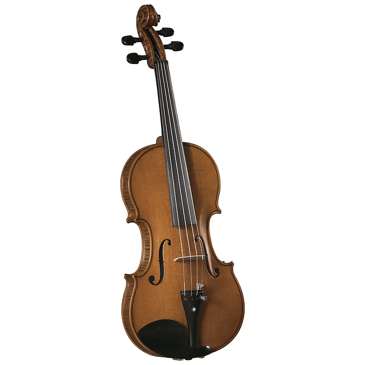 Violin Outfit 4/4 SV-600 Cremona 1