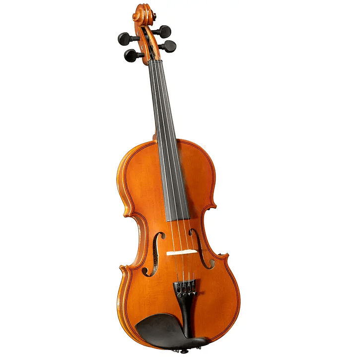 Violín Outfit 4/4' HV-50 Cervini 1