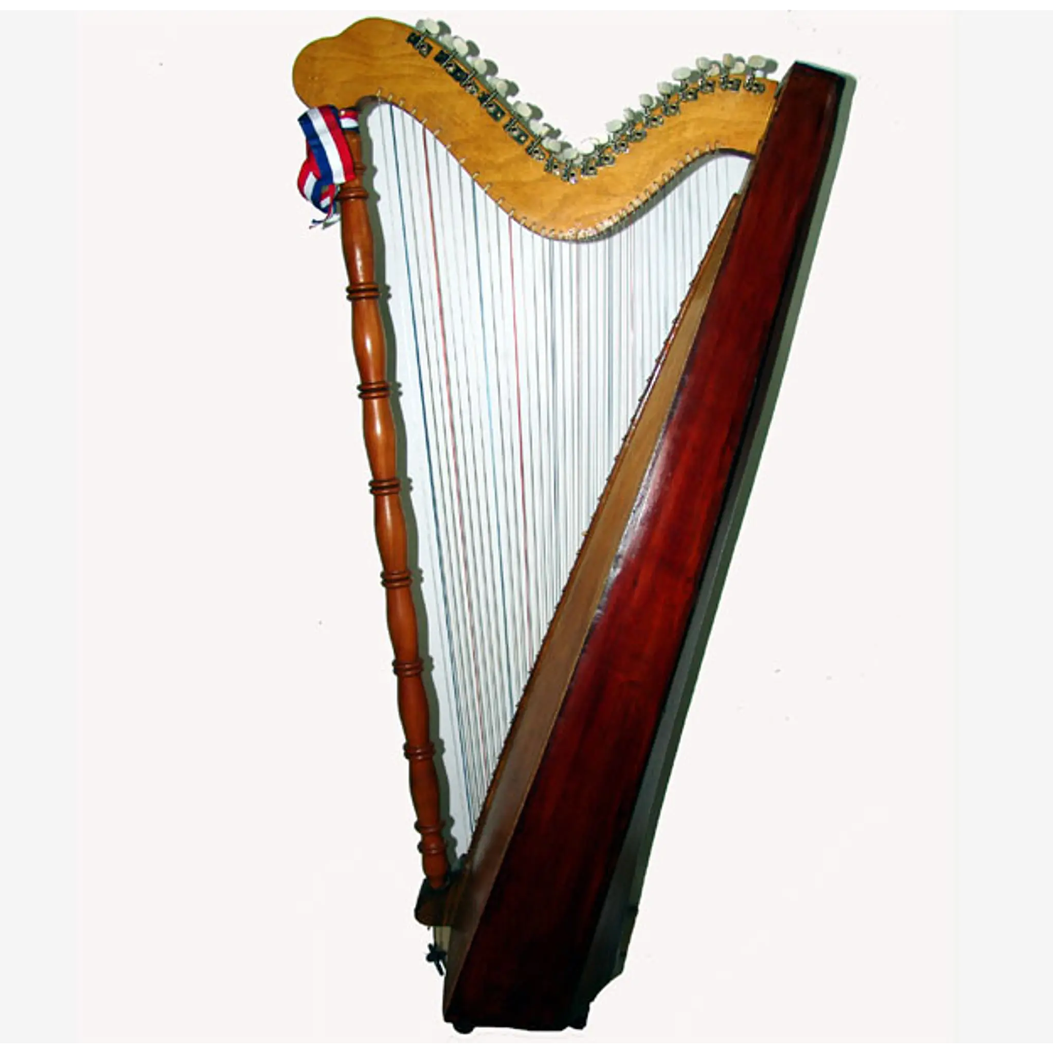 Arpa Folklórica Chilena 1