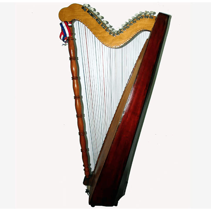 Arpa Folklórica Chilena 1