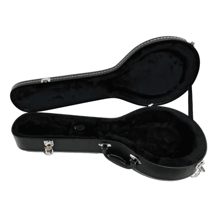 Case Hard Para Banjo 3