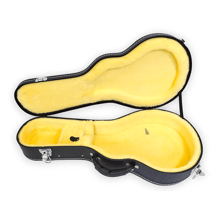 Case para Mandolina F Negro 1