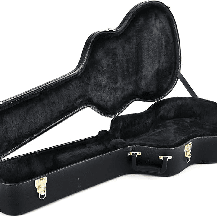 Guitarra Electroacústica Fender Paramount PM2 Fishman + case 6