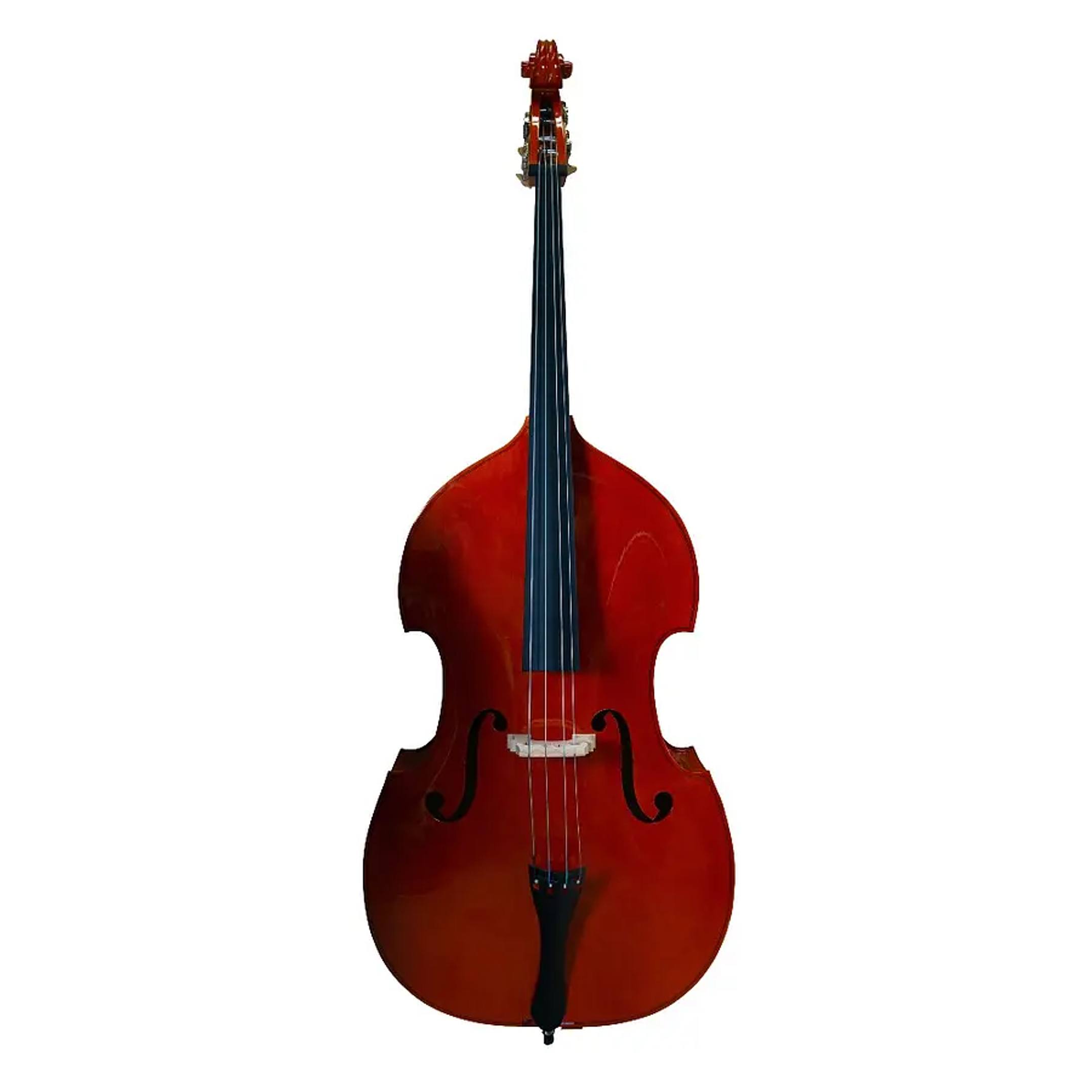 Contrabajo Livorno 3/4 Lib-500 1