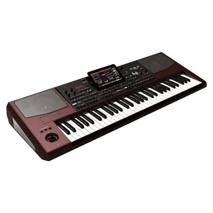 Korg PA1000 - Teclado Arranger 2