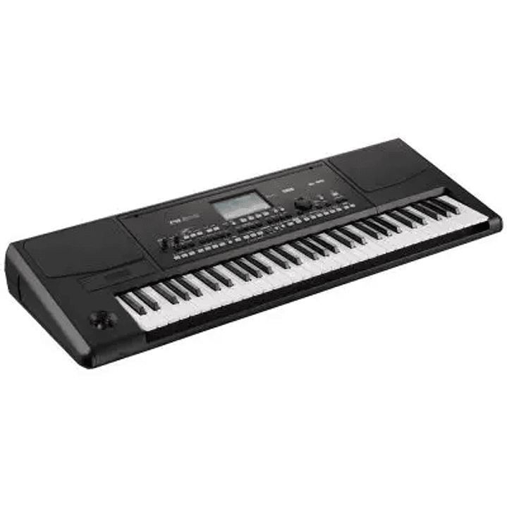 Korg PA300 - Teclado Arranger 1