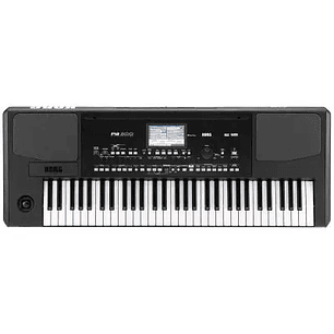 Korg PA300 - Teclado Arranger