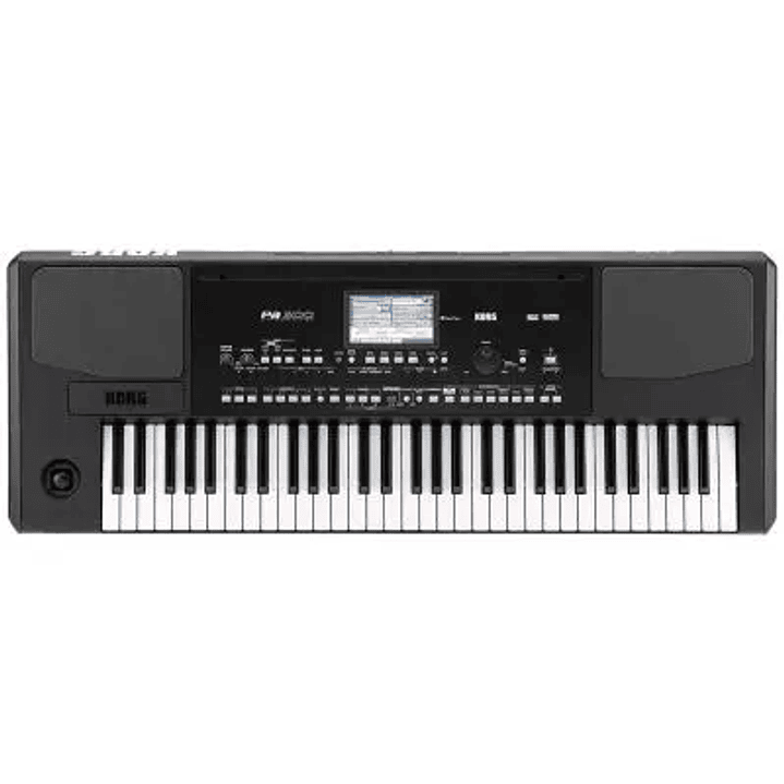 Korg PA300 - Teclado Arranger 2