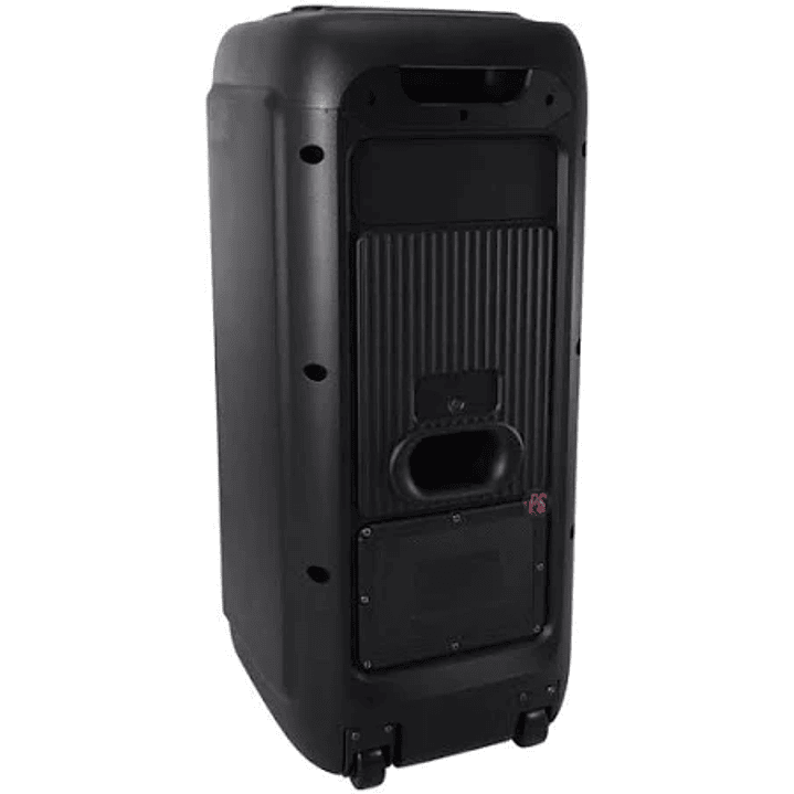 PARLANTE KARAOKE CON MICROFONO Y LUCES 3