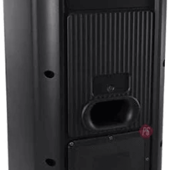 PARLANTE KARAOKE CON MICROFONO Y LUCES 3