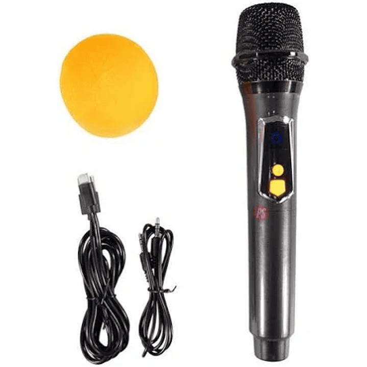 PARLANTE KARAOKE CON MICROFONO Y LUCES 5