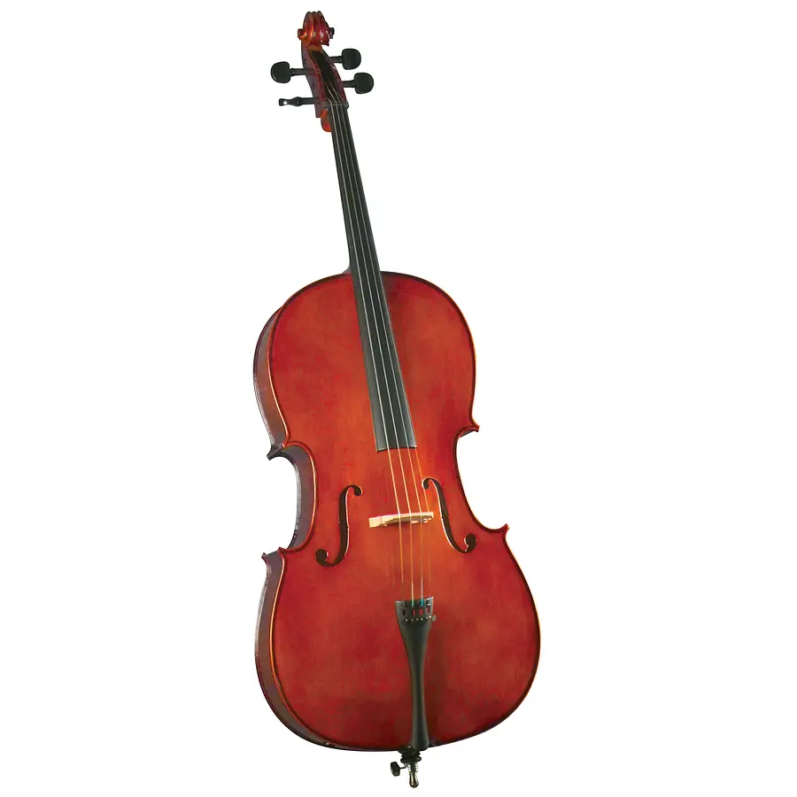 Violoncello Outfit 4/4' HC-100 Cervini