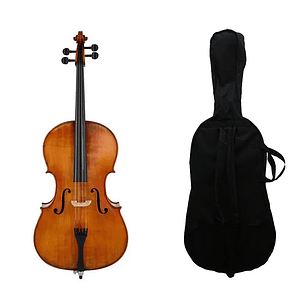Violoncello Livorno 4/4 MC