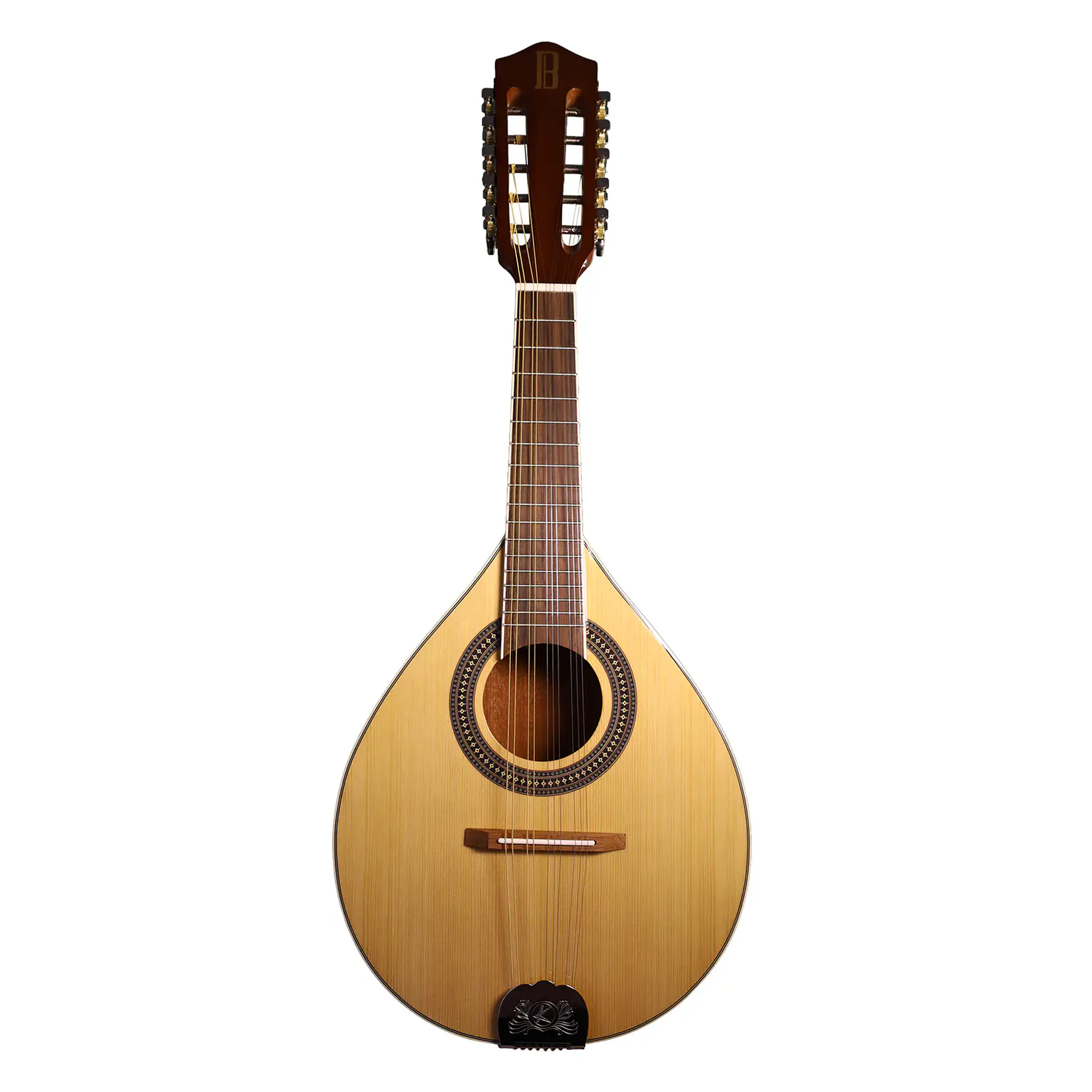 Mandolina 10 Cuerdas Bilbao 1