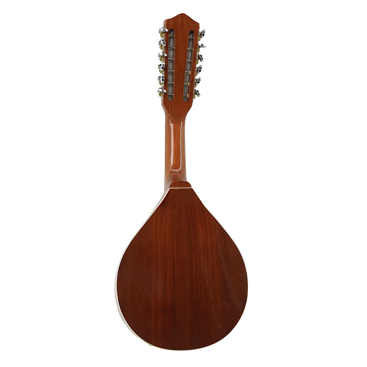 Mandolina 12 Cuerdas Bilbao 2