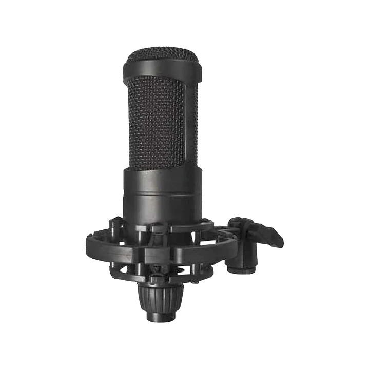 Micrófono condensador profesional Audiopro 1
