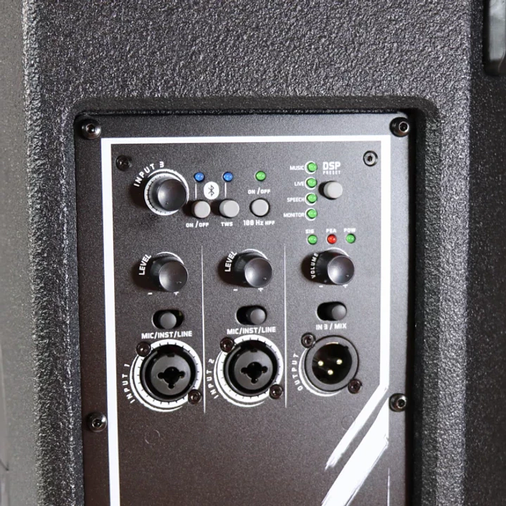 Caja activa de 10 MADERA VMR TOUR10-DSP 3