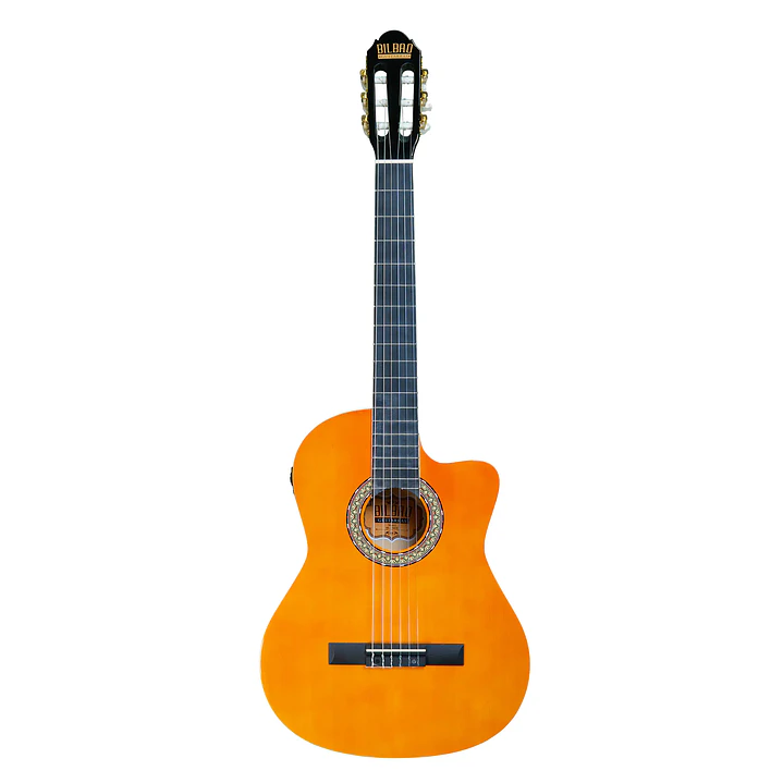 Guitarra Electroacústica Bilbao 1