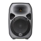 Caja Activa Wharfedale TITAN 8A MKII - Miniatura 1