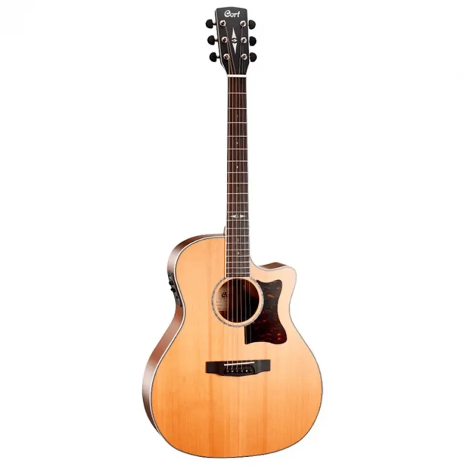 CORT GA5F-BW-NS 1