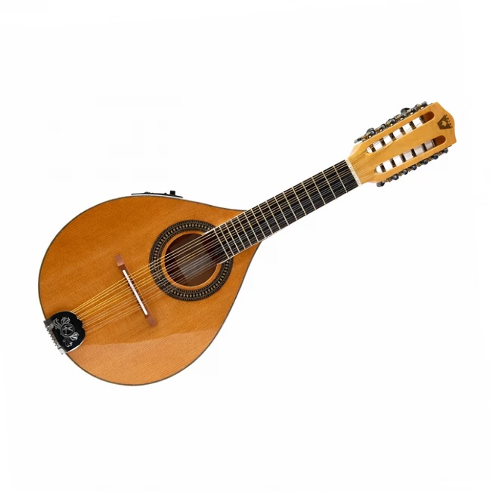 Mandolina Wotan electroacústica de 12 cuerdas activa color madera natrual 1