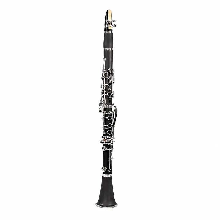 Clarinete de Estudio Bb con Case - 17 Llaves 1