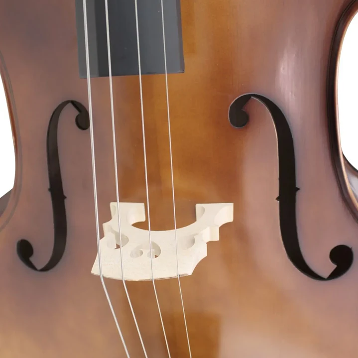 Violoncello Freeman Classic 4/4 CS101H con Funda Arco y Resina ✅ SOLO VENTA PRESENCIAL 4