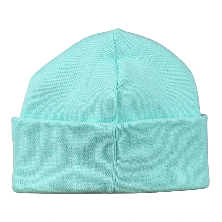 Gorro bordado con perro Beagle 6