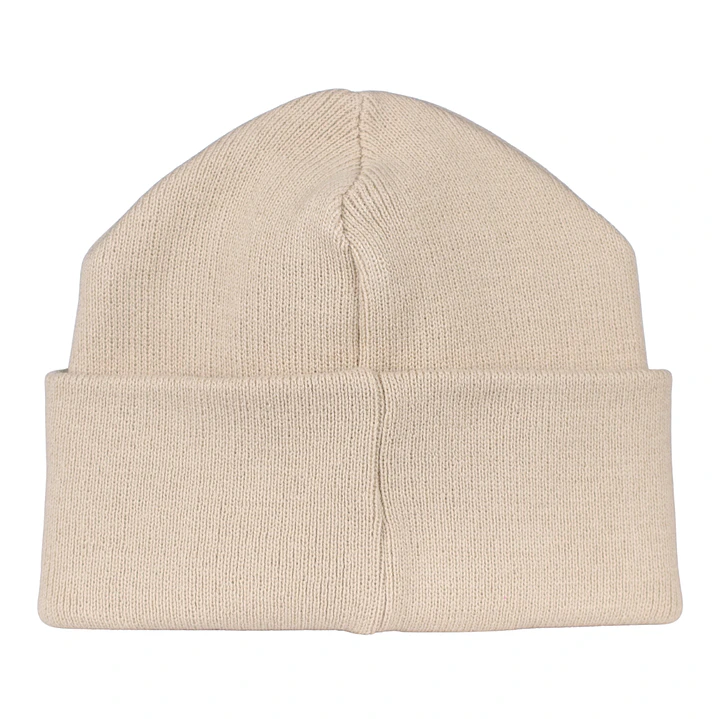 Gorro bordado con Picaflor Chileno  2