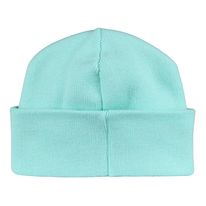 Gorro bordado con perro salchicha dachshund  9