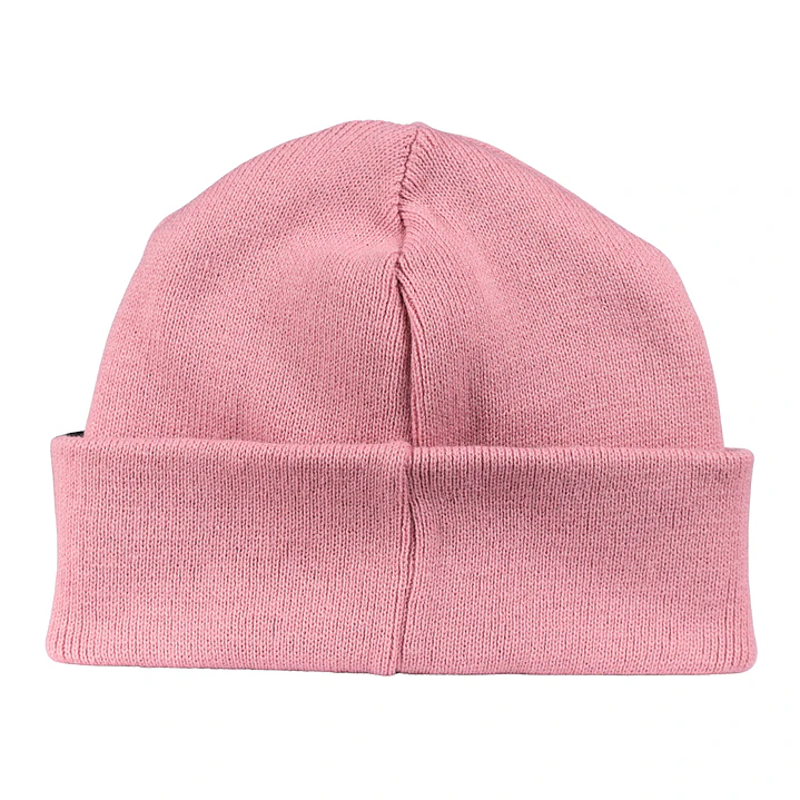Gorro bordado con perro salchicha Dachshund  7