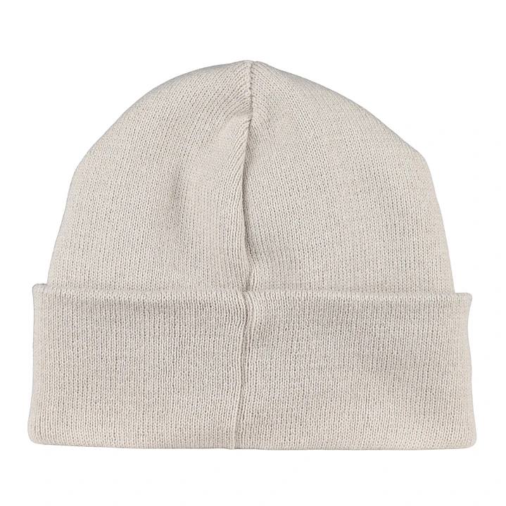 Gorro bordado con perro Chihuahua  3