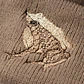 Gorro bordado con Ranita de Darwin  - Miniatura 4