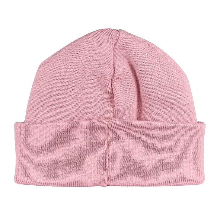 Gorro bordado con perro salchicha dachshund  11